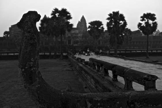 qdqtkbtarj9nyrxlrjfa_thumb_3db3